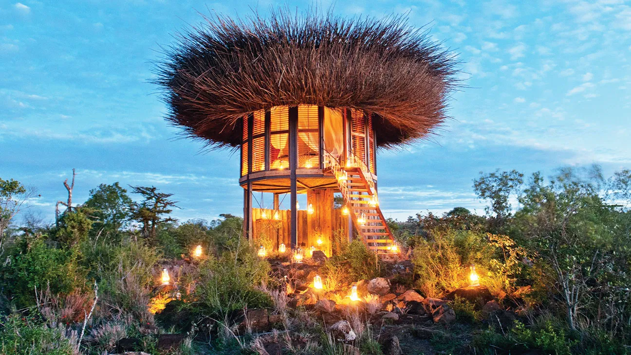 Luxurious Safari Experiences in Africa